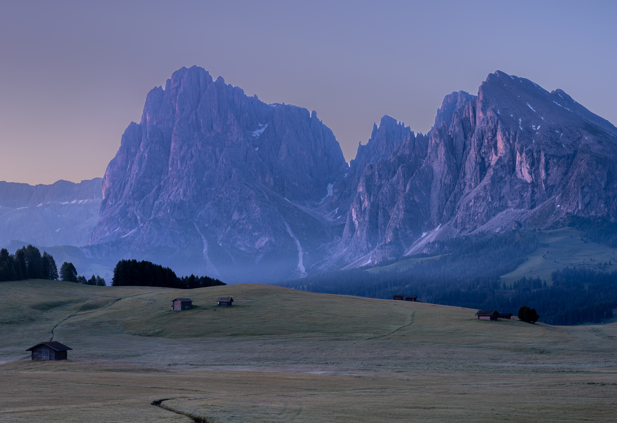 03 First light on Alpine meadow-NAW